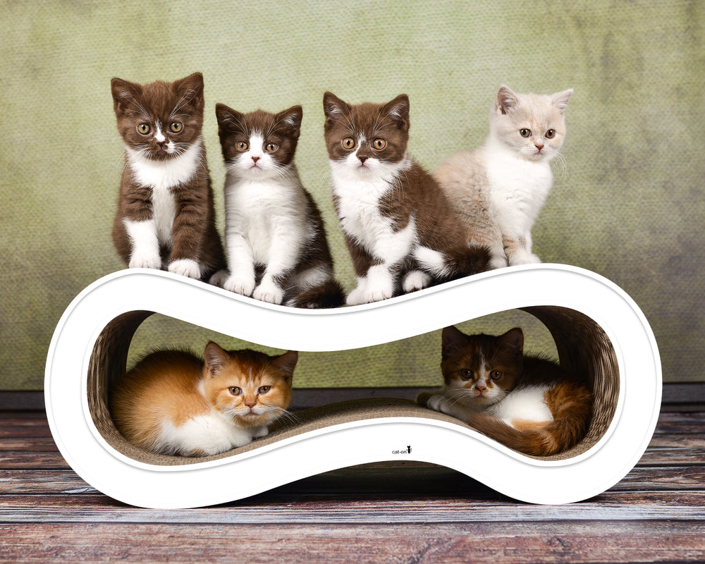 weiß mit Rand (000) - Bild 2