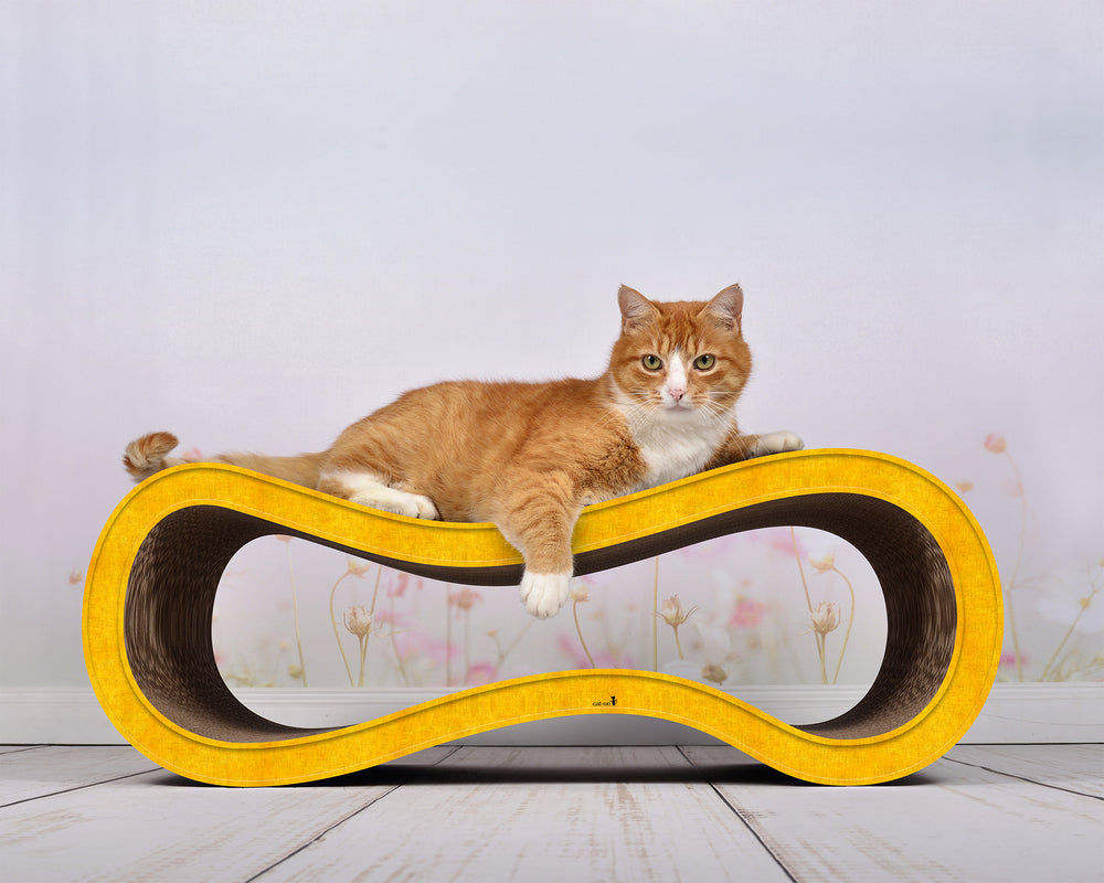 dunkelgelb (004e) - Bild 4