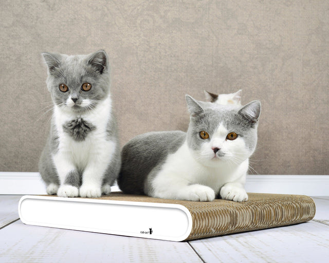 LA PLANCHE Kratzbrett für Katzen