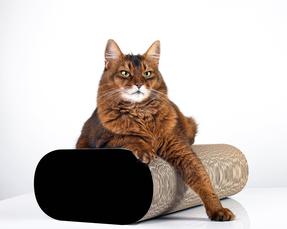 schwarz matt (013x) - Bild 2