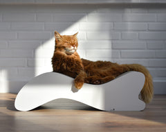 Rote Katze liegt entspannt auf wellenförmigen weißen Kratzmöbelstück vor hellen Ziegelsteinen im Sonnenlicht.