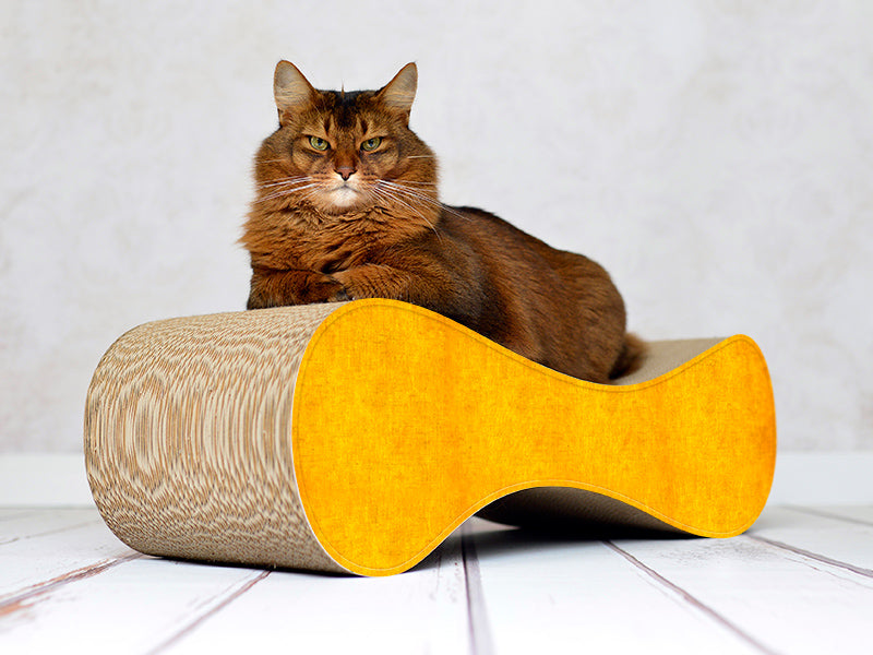 dunkelgelb (004e) - Bild 1