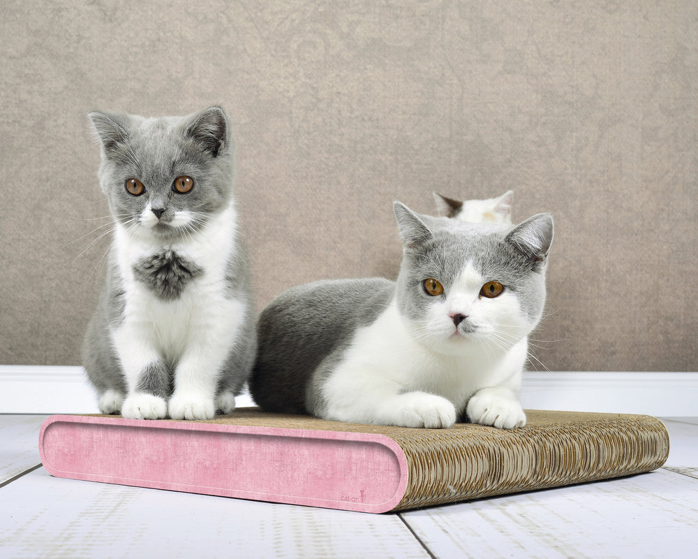 hellrosa (205) - Bild 1