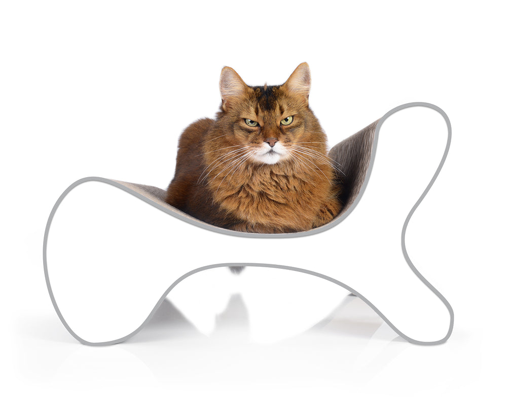 weiß, grauer Rand (000d) - Bild 2