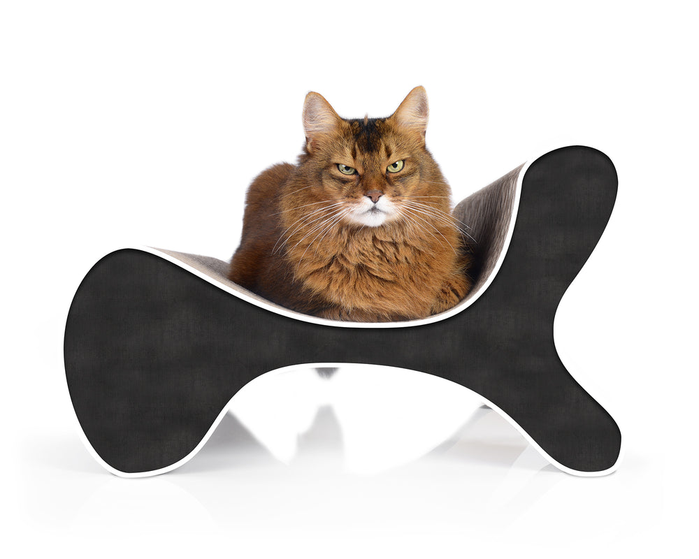 schwarz, weißer Rand (000g) - Bild 2