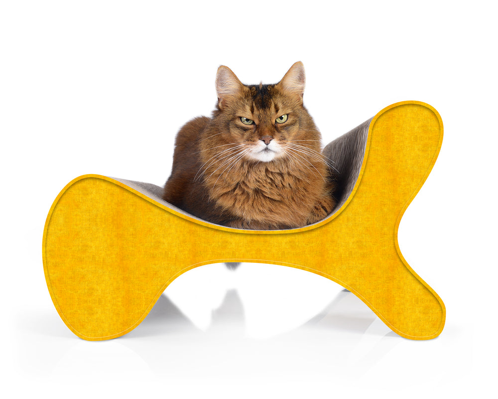 dunkelgelb (004e) - Bild 2