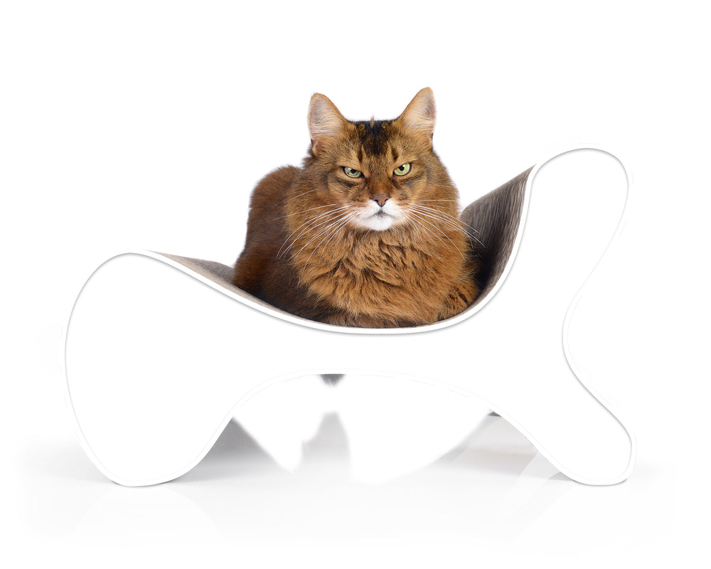 weiß mit Rand (000) - Bild 4