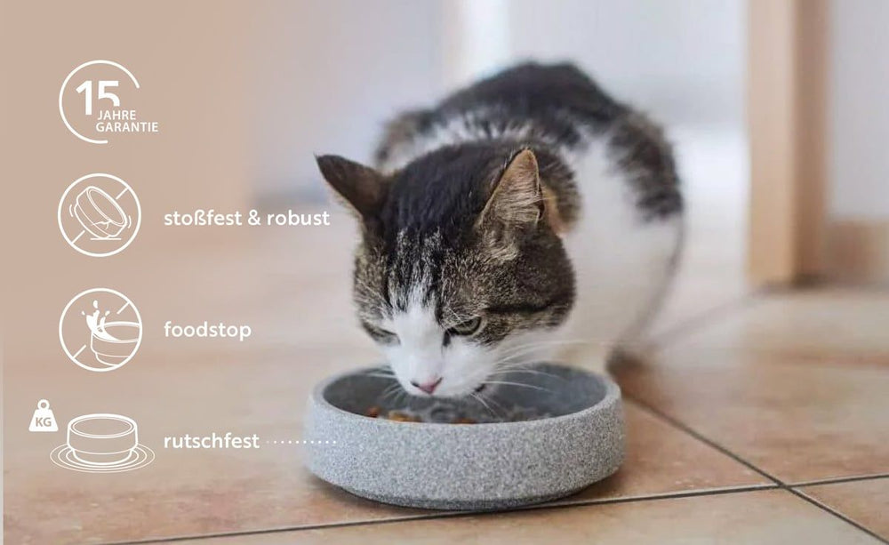 Katze frisst aus grauem Futterschälchen auf hellen Fliesen, umgeben von Symbolen zu Eigenschaften des Katzennapfs Granicium.