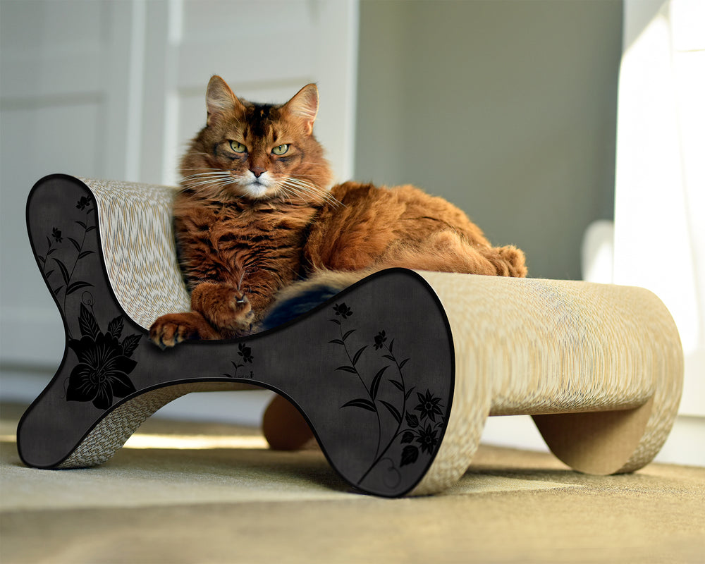 schwarz, schwarze Blumen (013b) - Bild 2