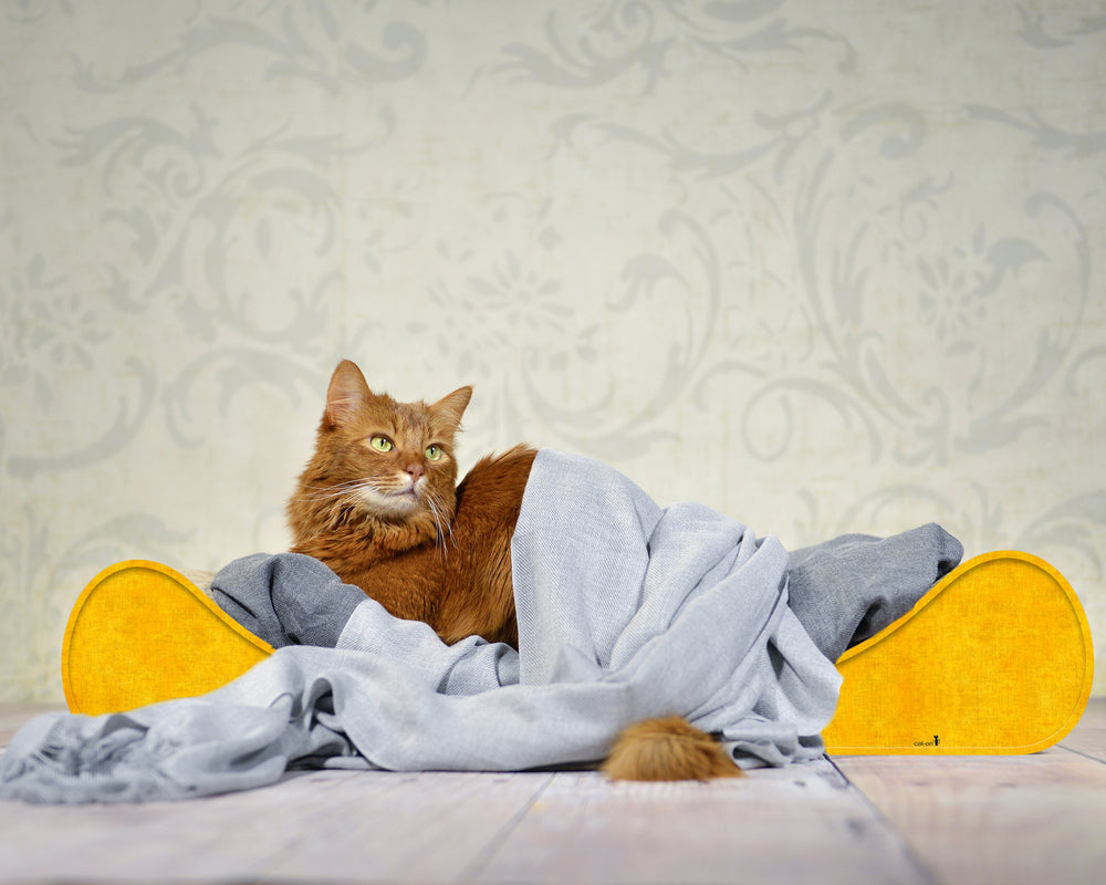 dunkelgelb (004e) - Bild 1