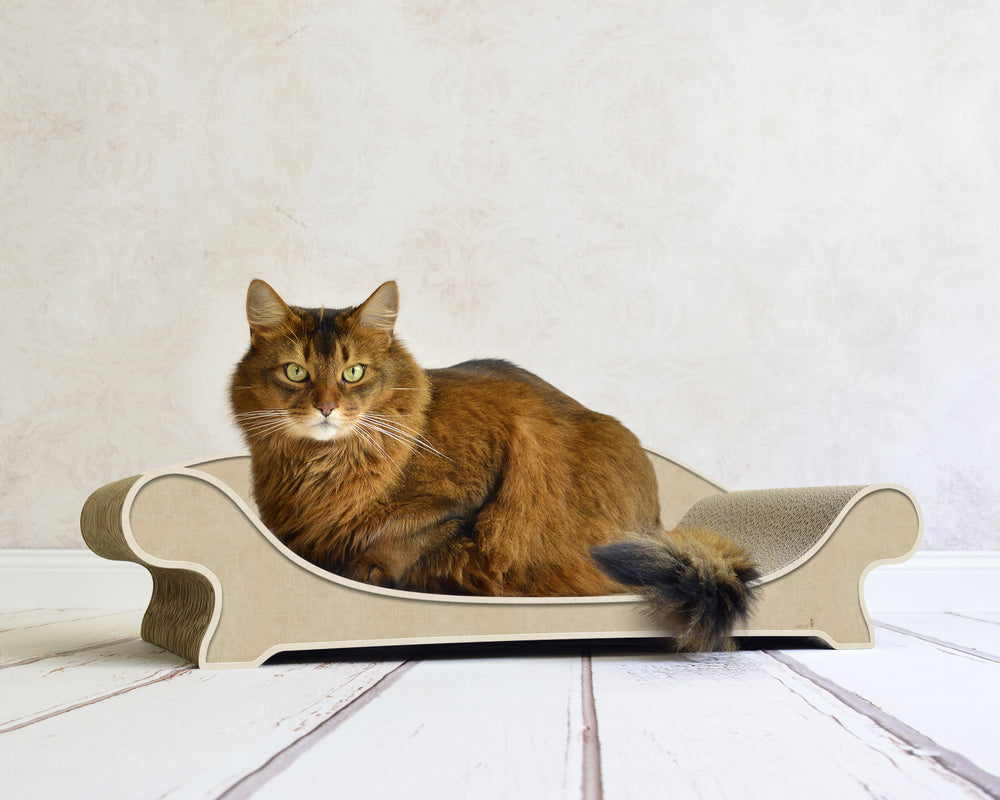 hellbeige (005f) - Bild 1