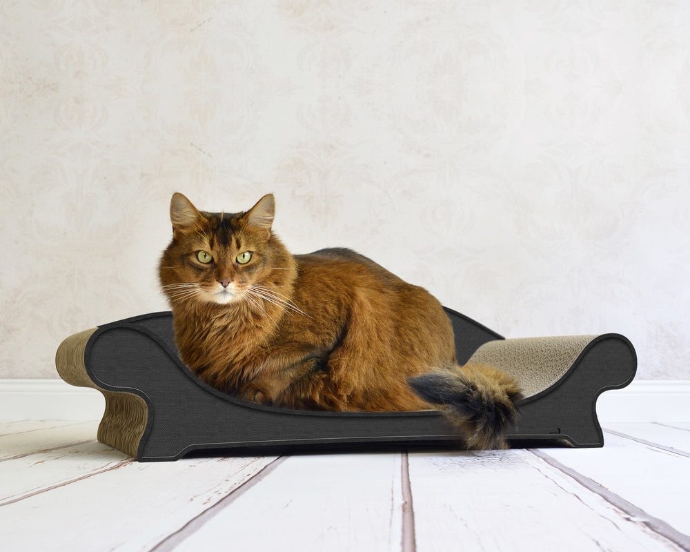 anthrazit (013h) - Bild 1