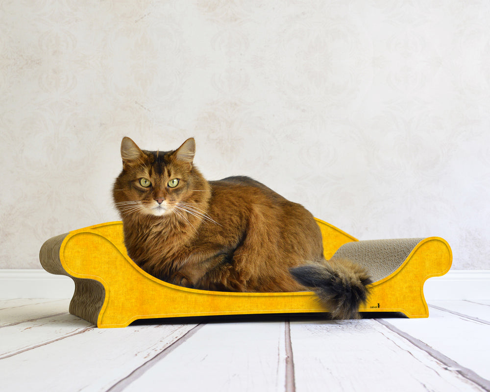 dunkelgelb (004e) - Bild 1