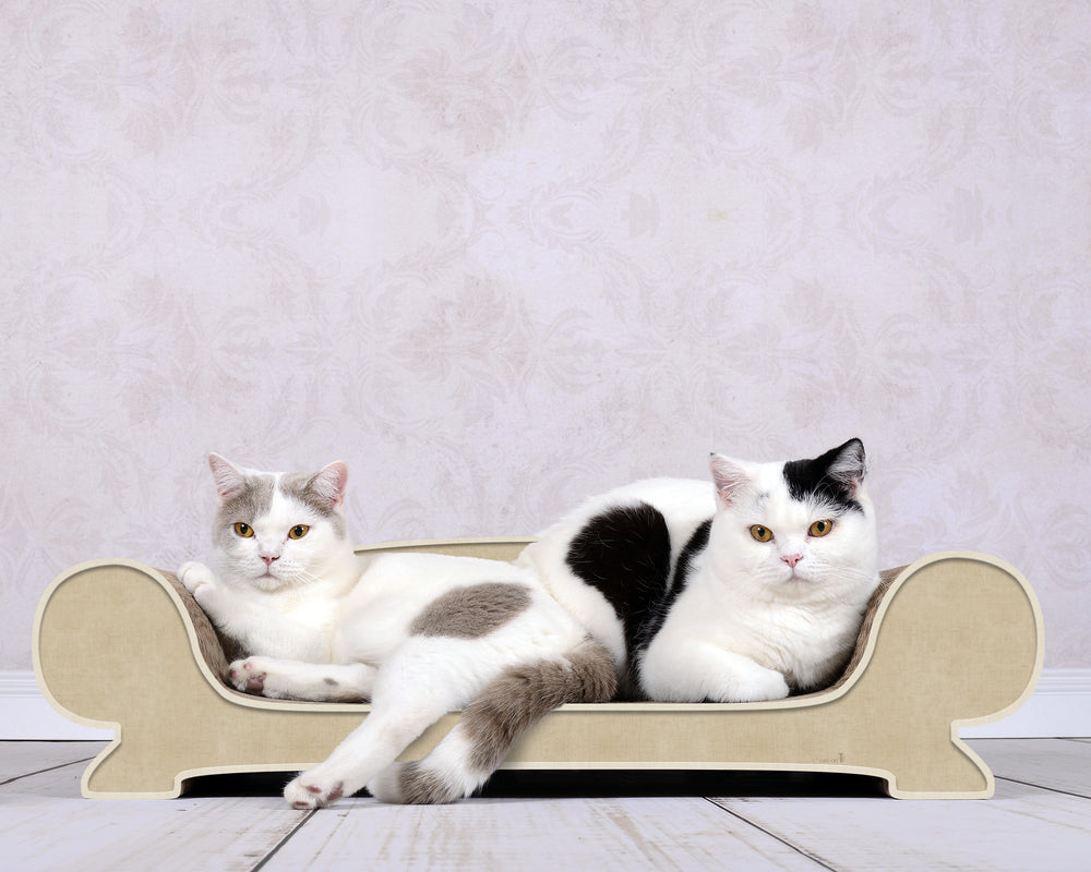 hellbeige (005f) - Bild 3