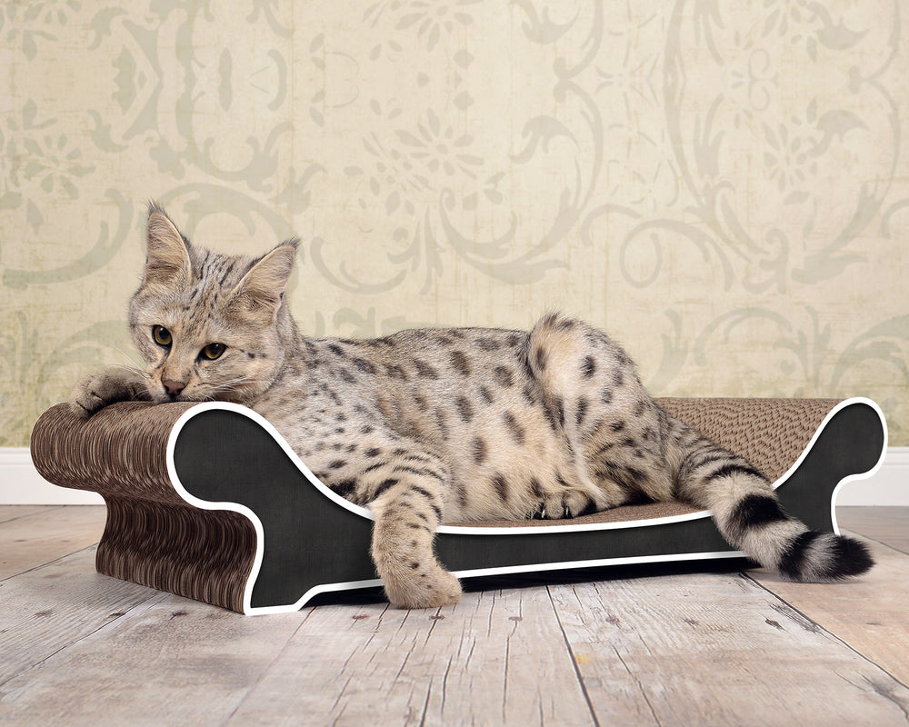 schwarz, weißer Rand (000g) - Bild 1