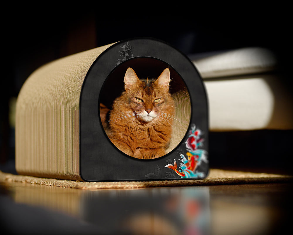 schwarz, Koi (035) - Bild 1