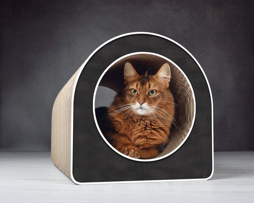 schwarz, weißer Rand (000g) - Bild 3