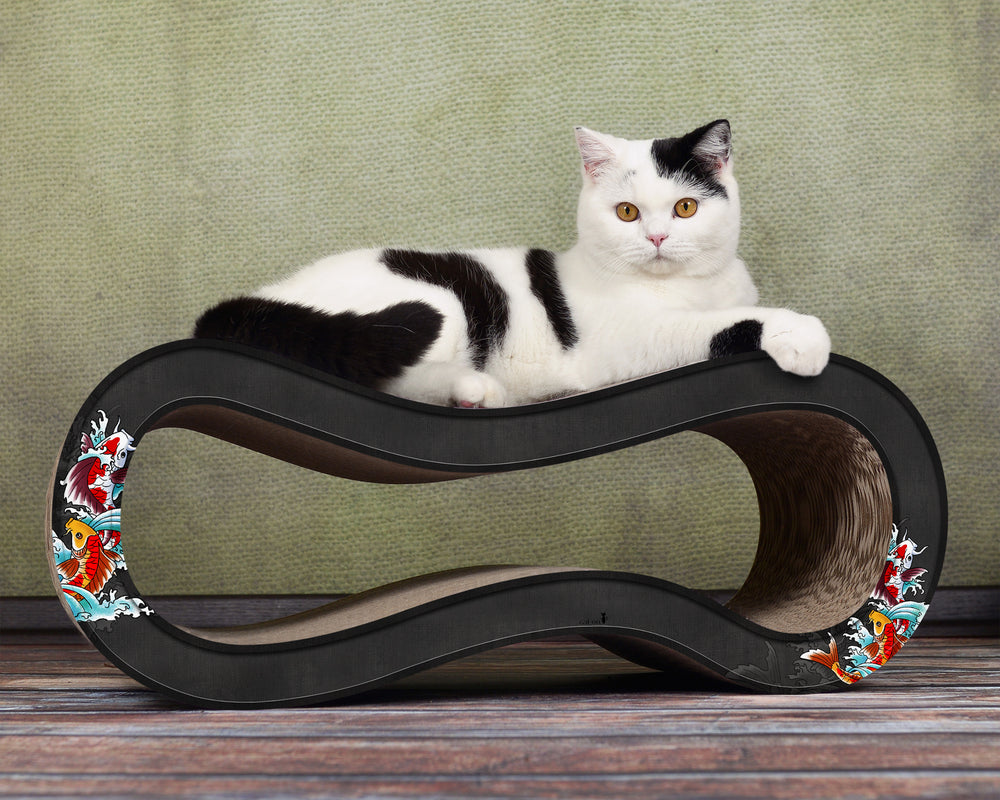 schwarz, Koi (035) - Bild 2