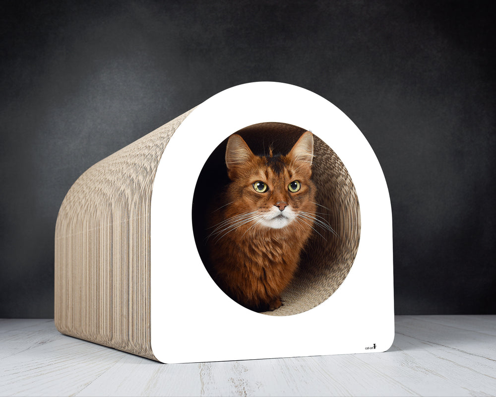 weiß,  gestrichen (000x) - Bild 2