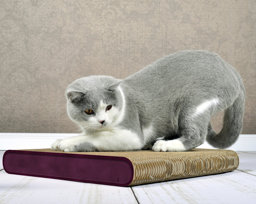 violett (070) - Bild 1