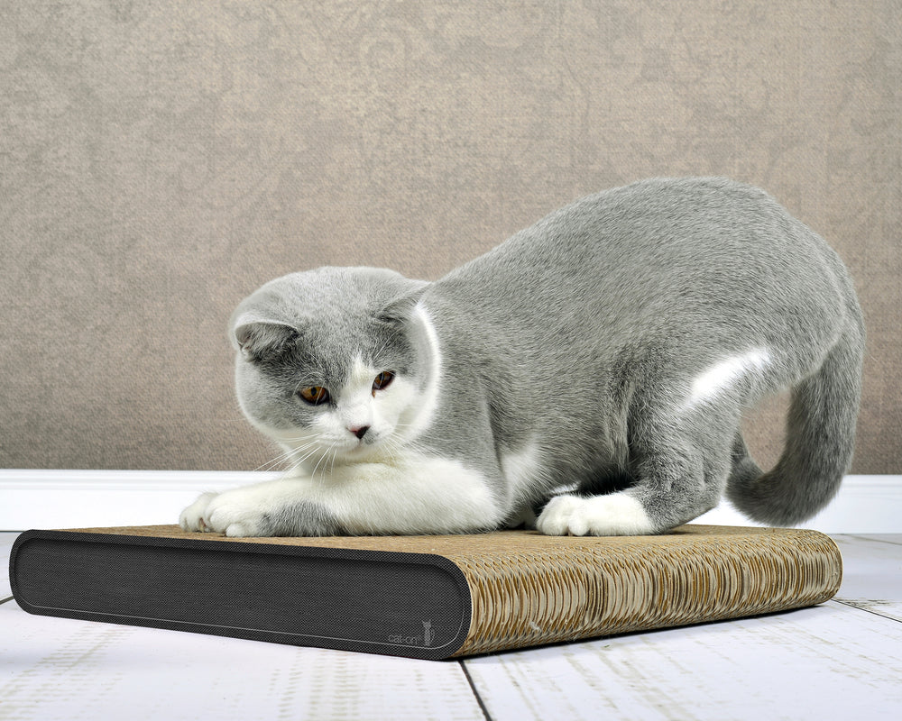 anthrazit (013h) - Bild 2