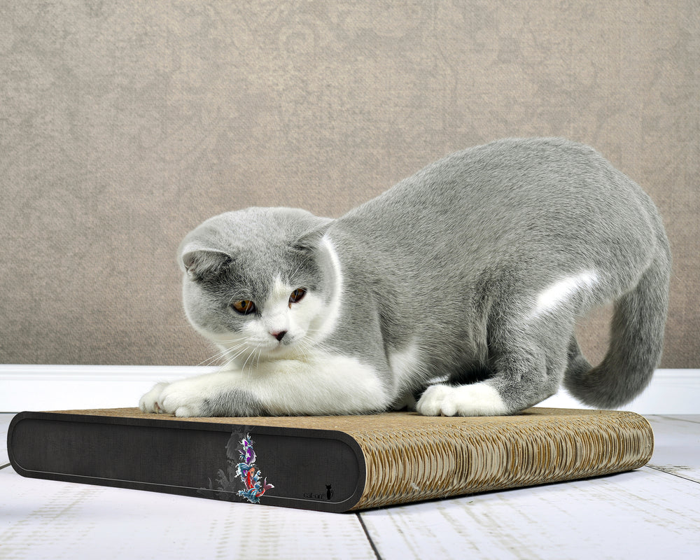 schwarz, Koi (035) - Bild 2