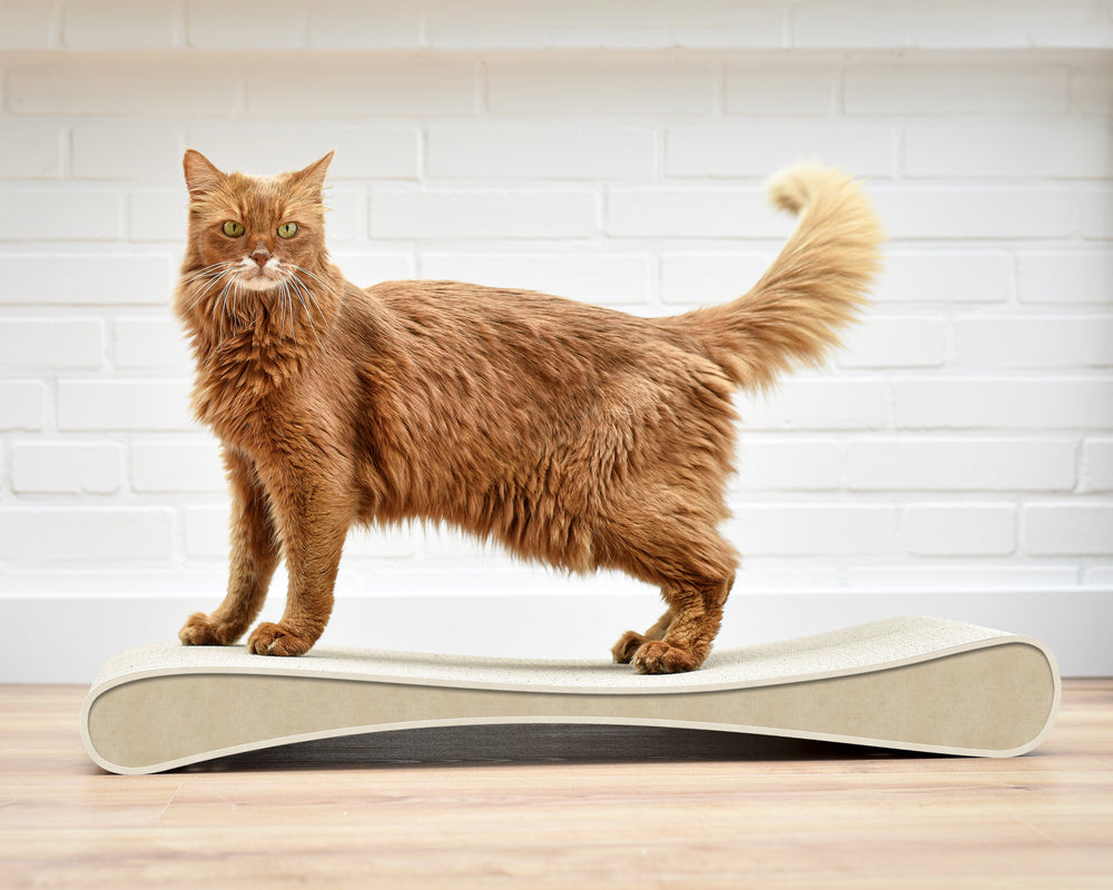 hellbeige (005f) - Bild 3