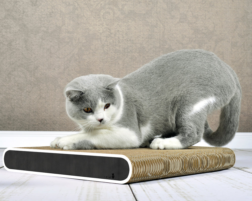 schwarz, weißer Rand (000g) - Bild 3