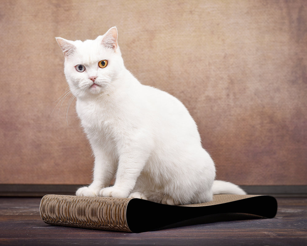 schwarz matt (013x) - Bild 1