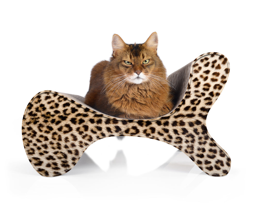 gepard (052) - Bild 2