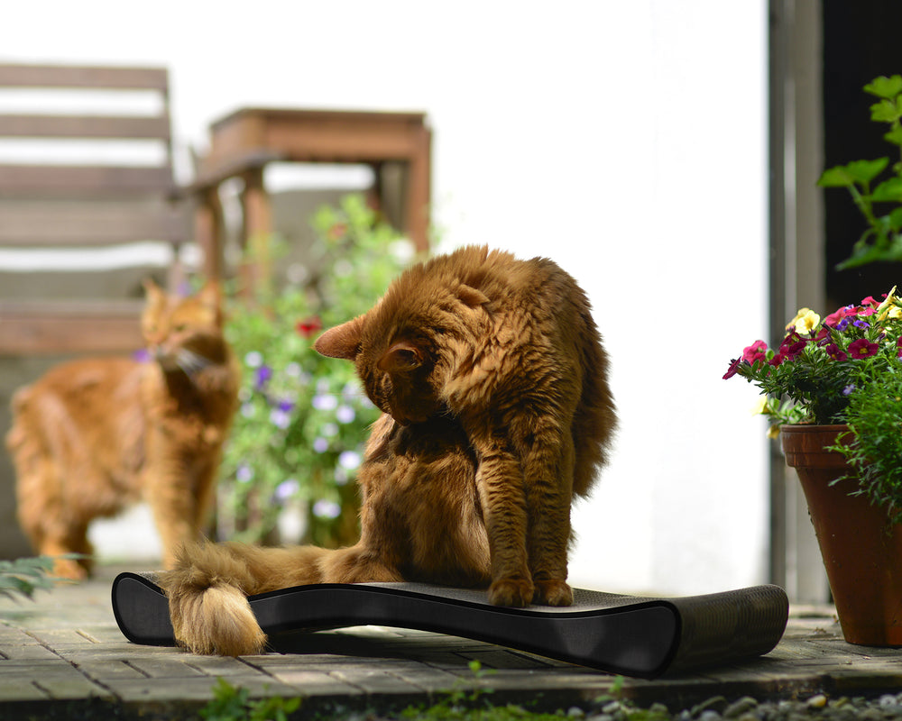 schwarz, meliert (013) - Bild 1