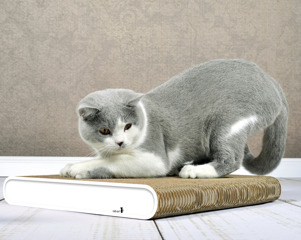 weiß mit Rand (000) - Bild 3