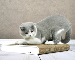 weiß mit Rand (000) - Bild 3