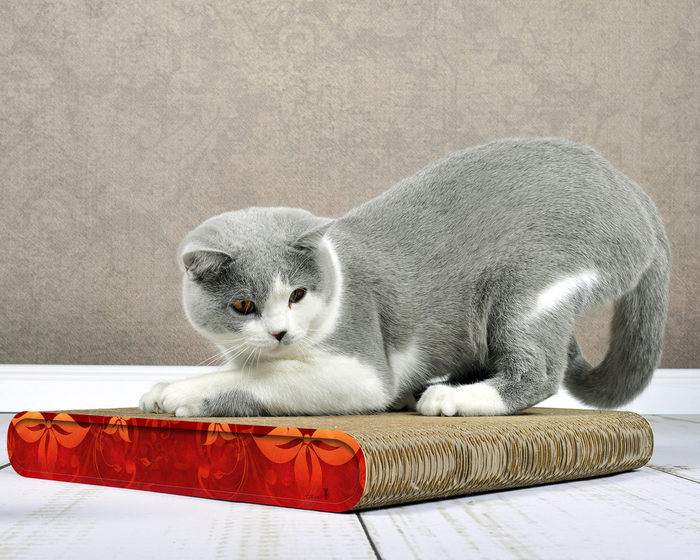 élégance (030) - Bild 3