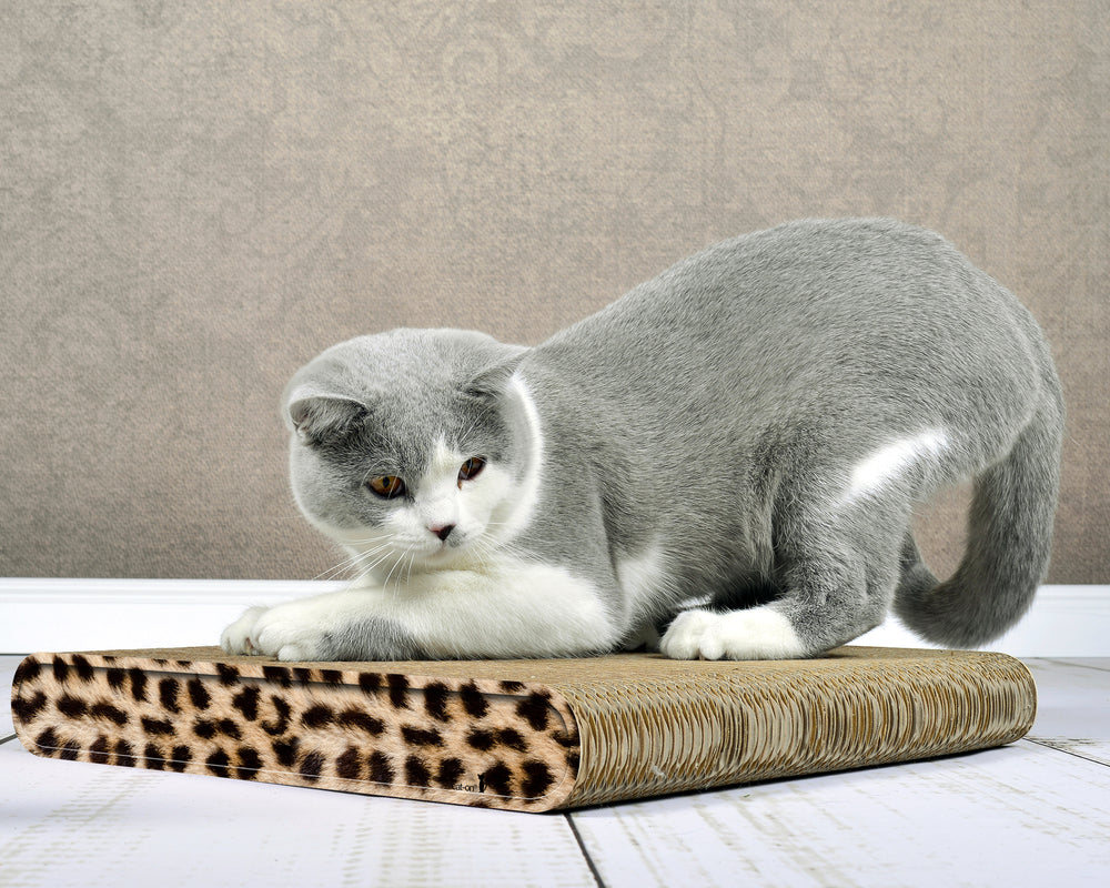 gepard (052) - Bild 3