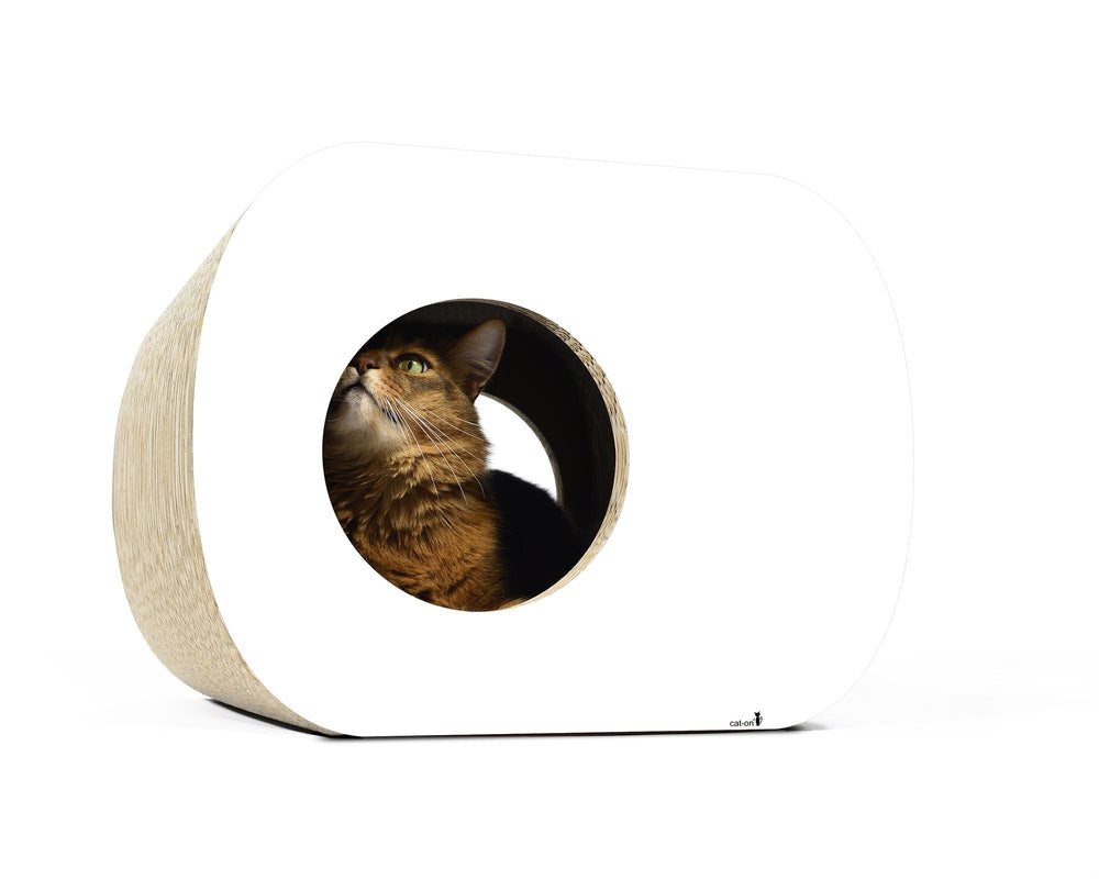 weiß,  gestrichen (000x) - Bild 1