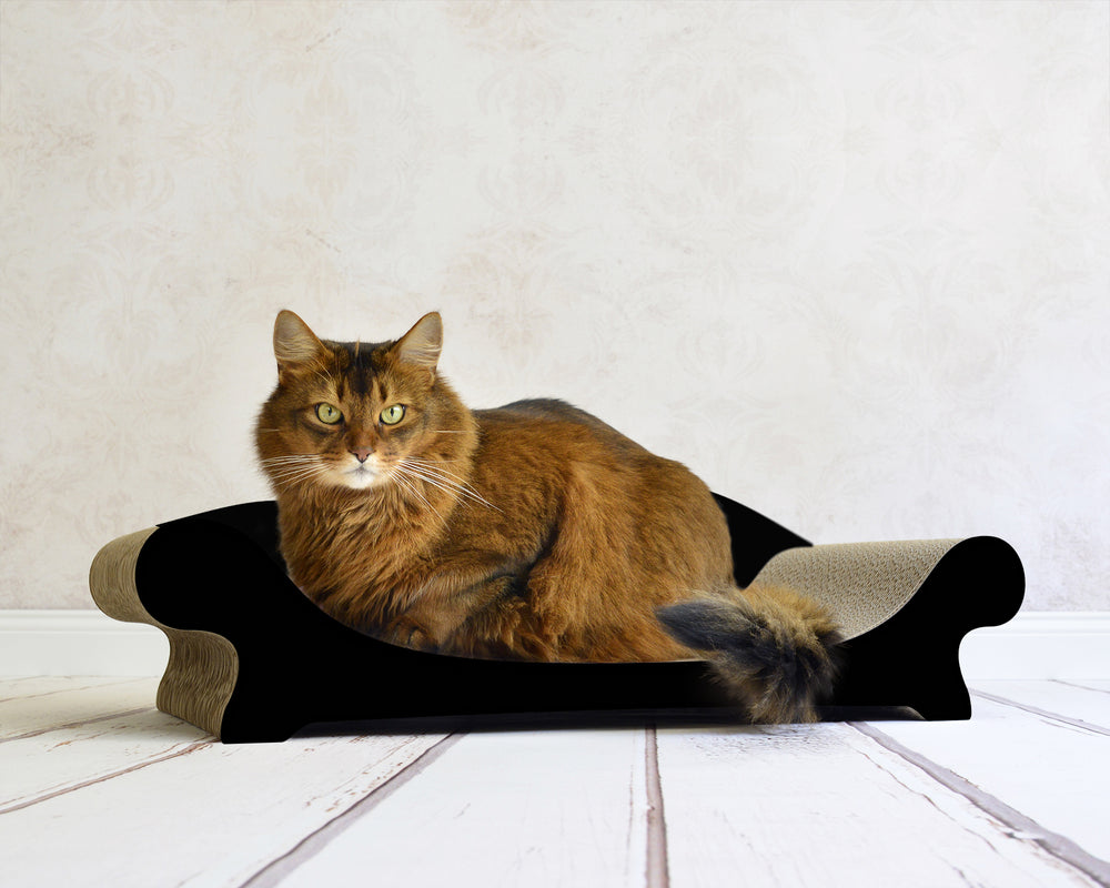 schwarz matt (013x) - Bild 1