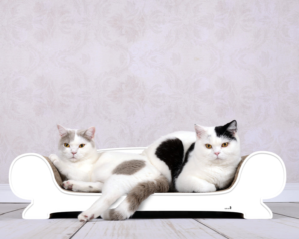 weiß mit Rand (000) - Bild 2