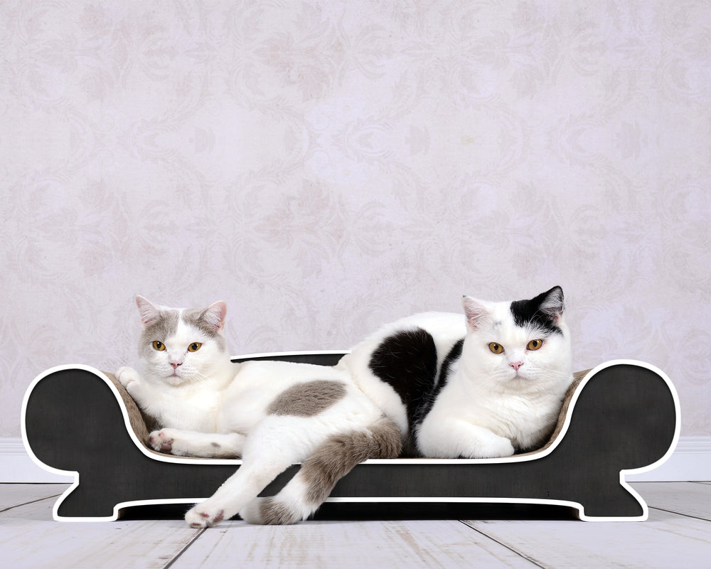 schwarz, weißer Rand (000g) - Bild 1