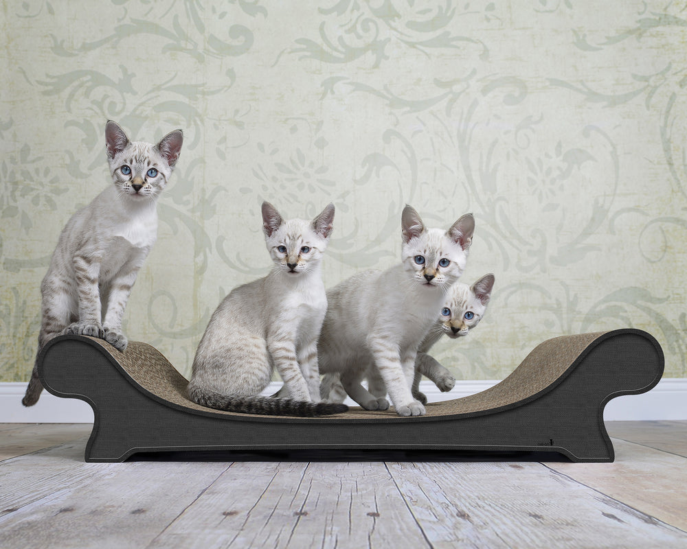 anthrazit (013h) - Bild 1