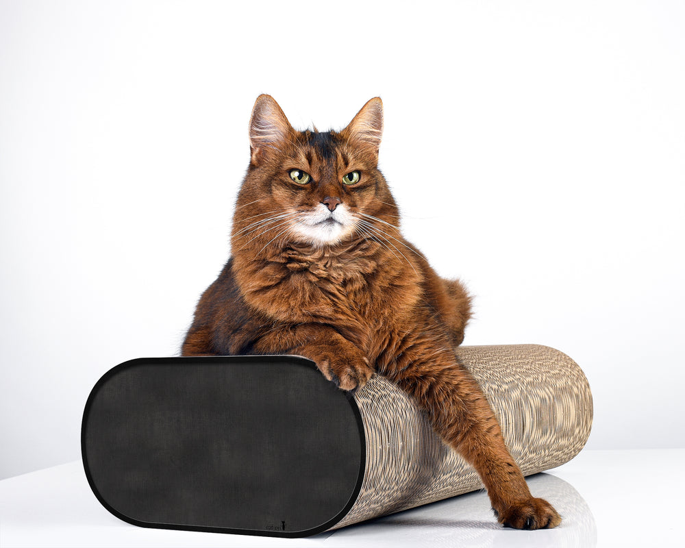 schwarz, meliert (013) - Bild 2