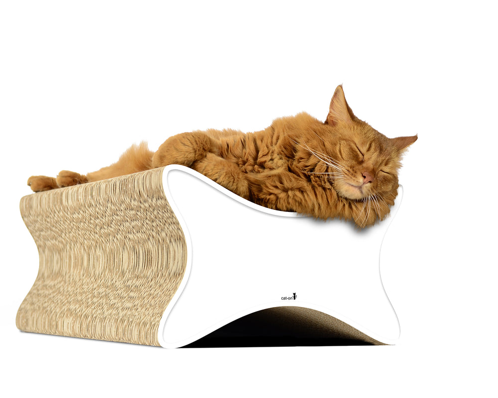 weiß mit Rand (000) - Bild 2