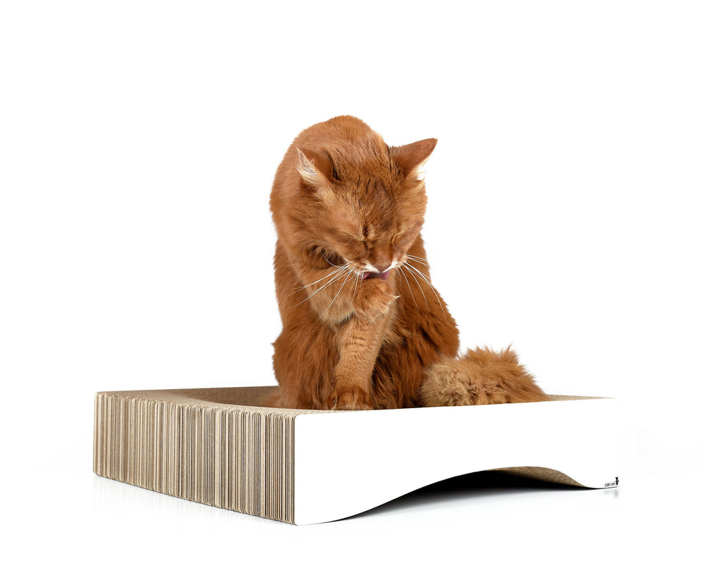 weiß,  gestrichen (000x) - Bild 4