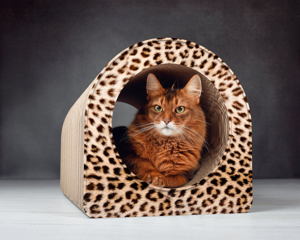 gepard (052) - Bild 1