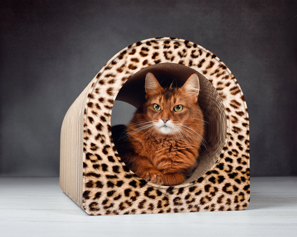 gepard (052) - Bild 1