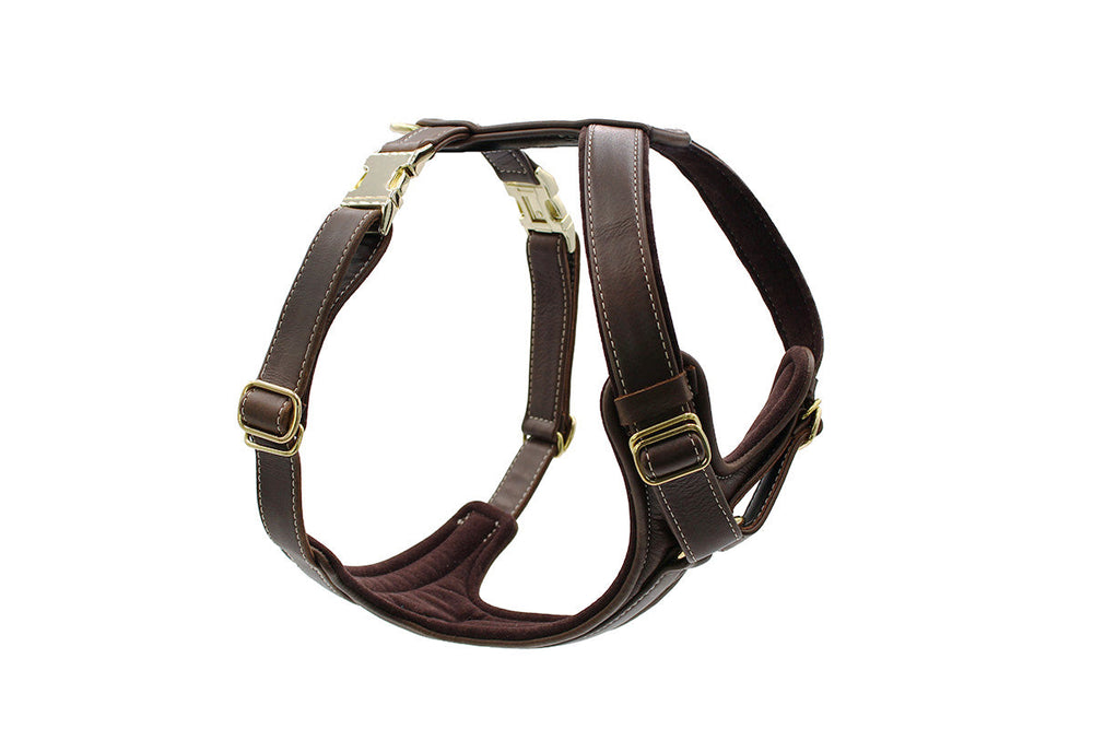 Braunes, zweifach verstellbares Hundegeschirr aus Leder mit gepolsterten Elementen für Komfort.