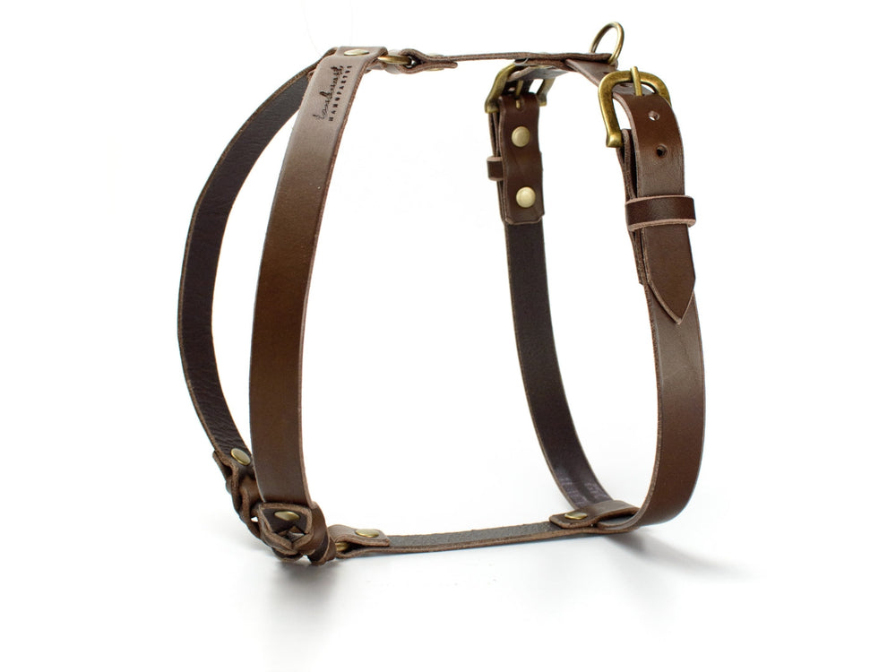 Braunes Ledergeschirr WALDSTREUNER für Hunde, elegant mit verstellbaren Riemen und stabilen goldfarbenen Beschlägen.