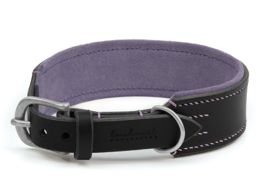 Schwarzes Lederhalsband für Hunde mit lila Innenfutter und robustem Verschluss. Ideal für stilvolle Hundebesitzer.