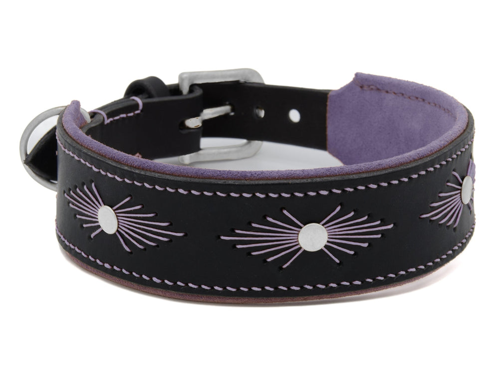 Breites schwarzes Lederhalsband für Hunde mit lila Stickerei, Metallsternen und silberner Schnalle.