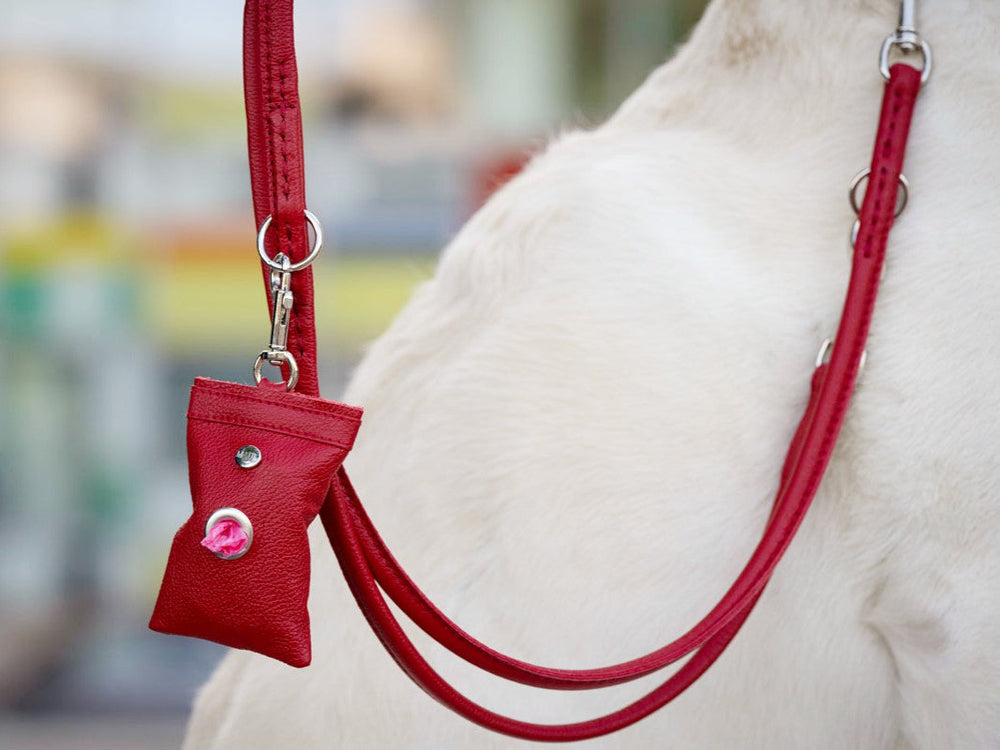 Rote Rundgenähte Hundeleine 3m mit Beutelhalter, perfekt für Spaziergänge mit Ihrem Hund.